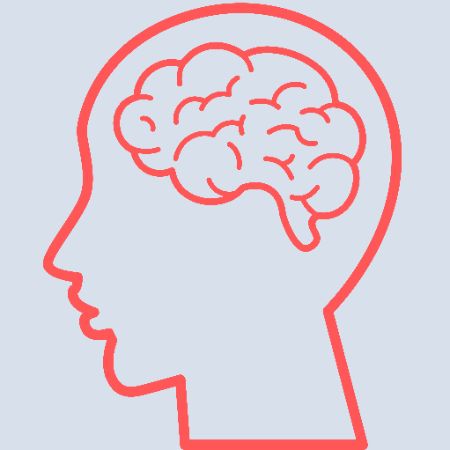 Brain Tumor Brain Tumor