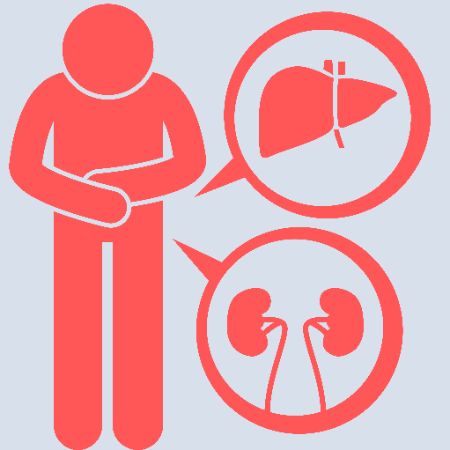 Liver & Kidney Transplant Liver & Kidney Transplant