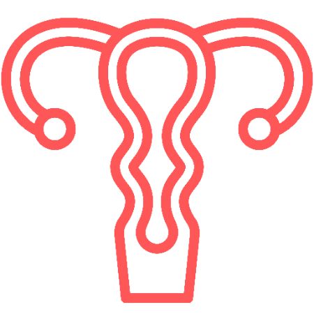 Gynecology Oncology Service