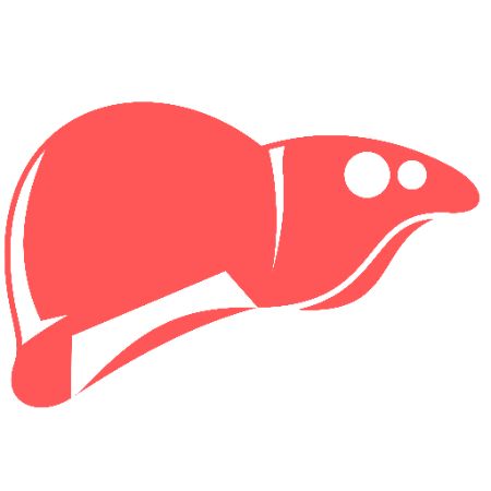 Liver Transplant Oncology Service